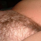 Quantity curly wife pussygallery.